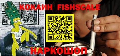 молекула духа Партизанск