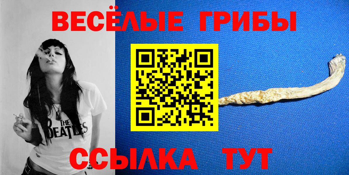 Тавда  дарнет шоп  Вход с VPN  Галлюциногенные грибы Psilocybine cubensis 